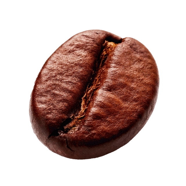 Coffee Bean