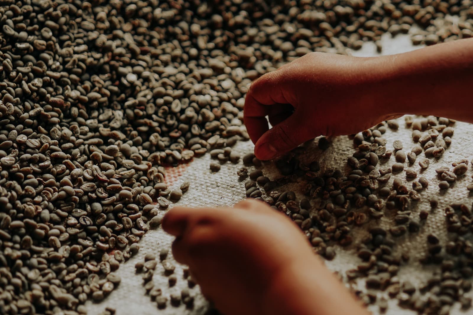 Sorting Beans