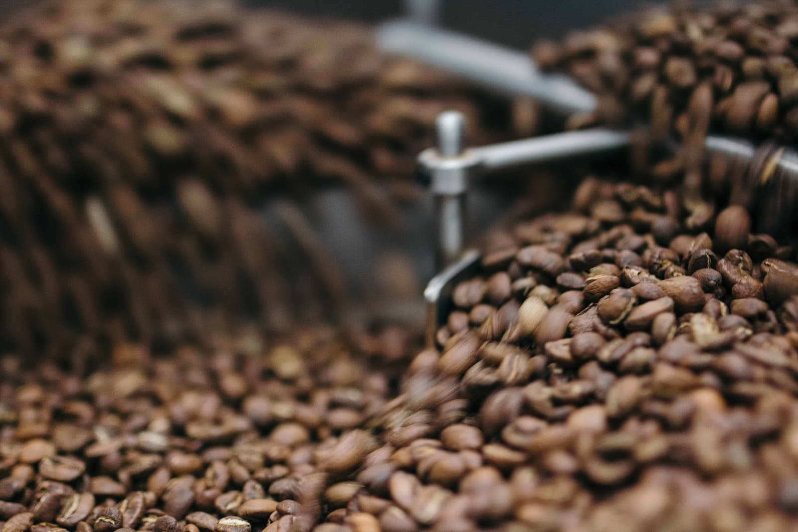Coffee beans closeup